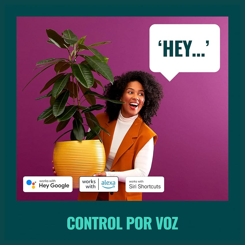 Thumbnail 5 de WiZ Bombilla Filamento LED Wi-Fi E27, Regulable, 2 pack