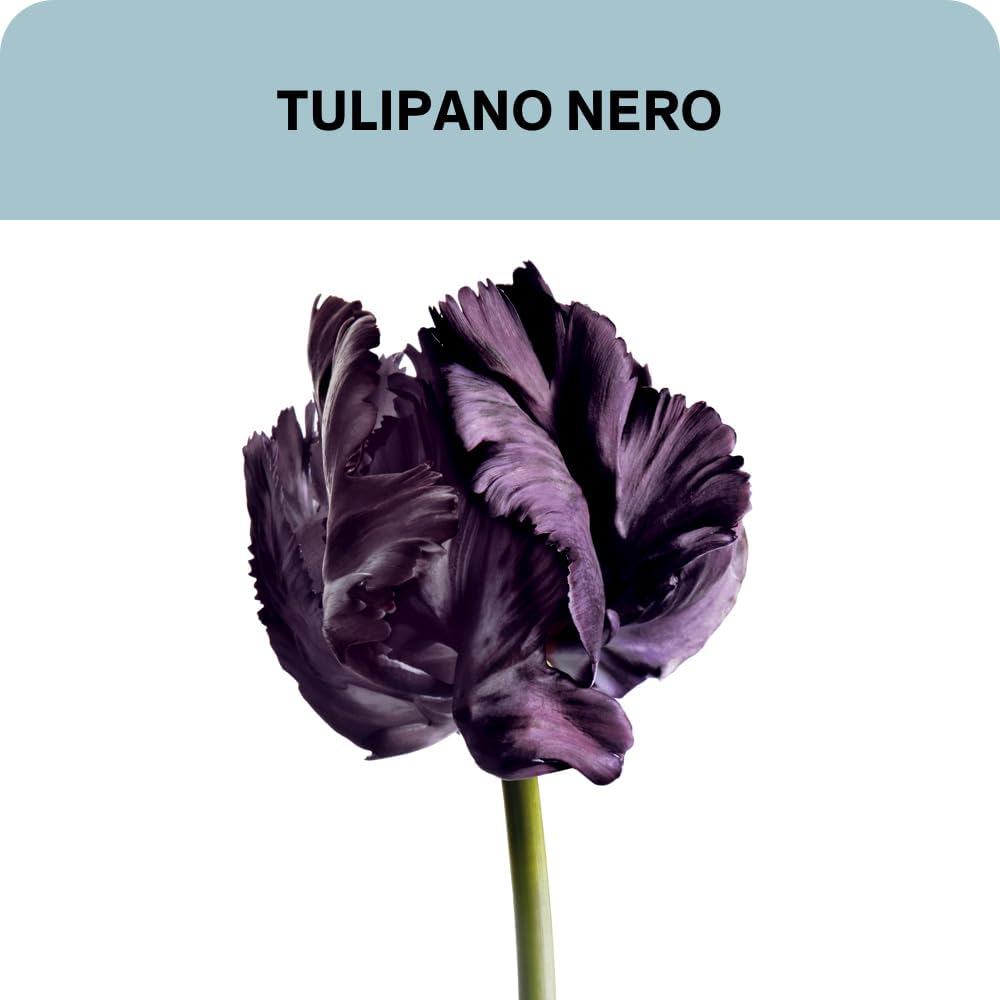 Thumbnail 2 de Lierac Homme Gel Hydratant Énergisant 50 ml – Soin Visage anti-fatigue