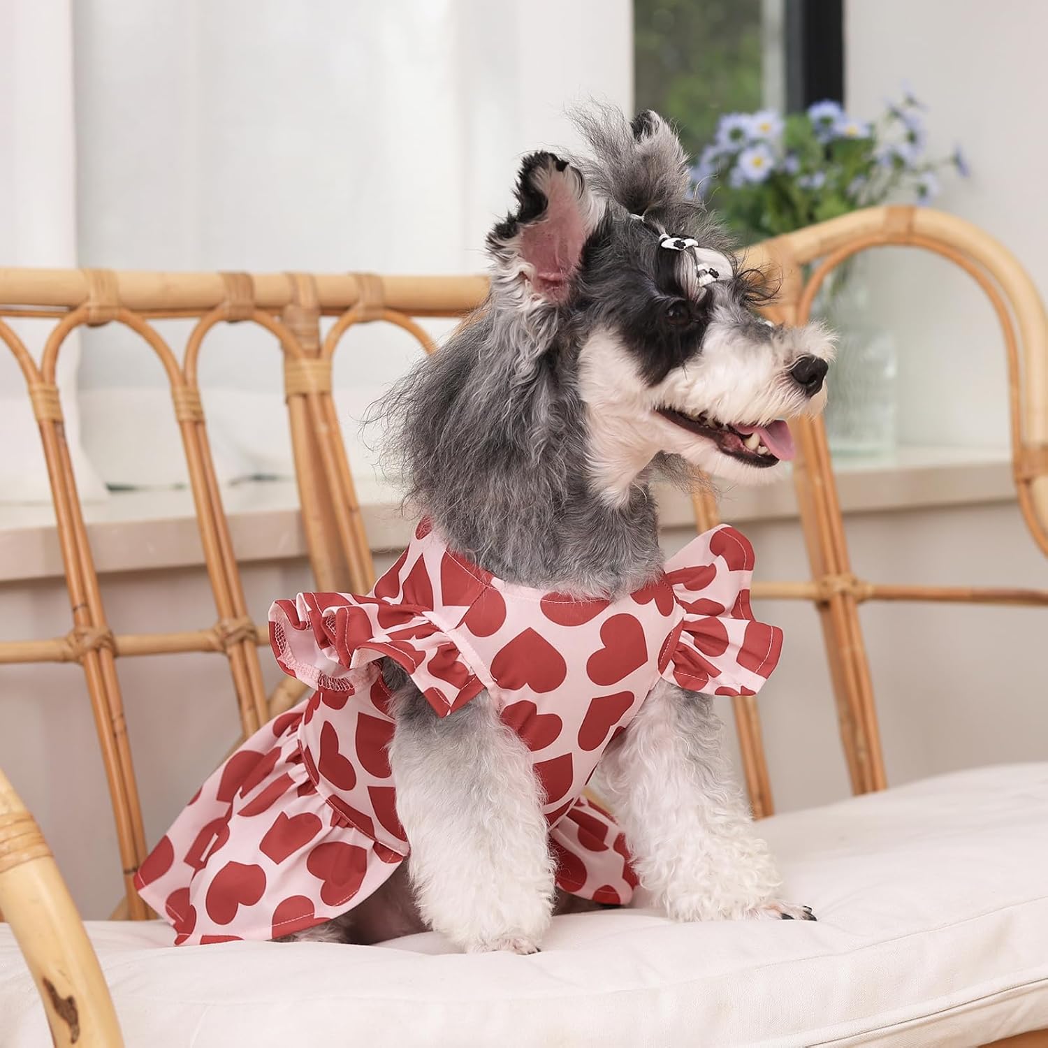 Thumbnail 6 de CuteBone Dog Dress XX-Small