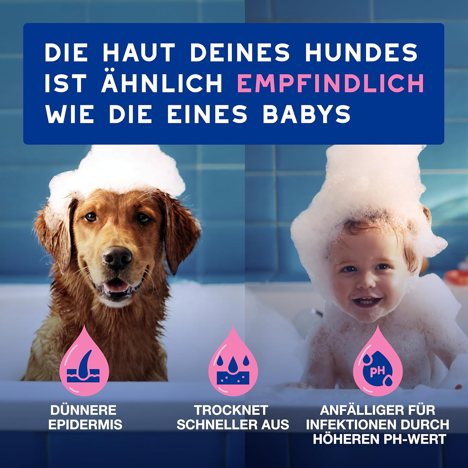 Detalle de DOUXO Skin & Coat SPA – Ultra-Safe Shampoo für empfindliche Haut, 250 ml