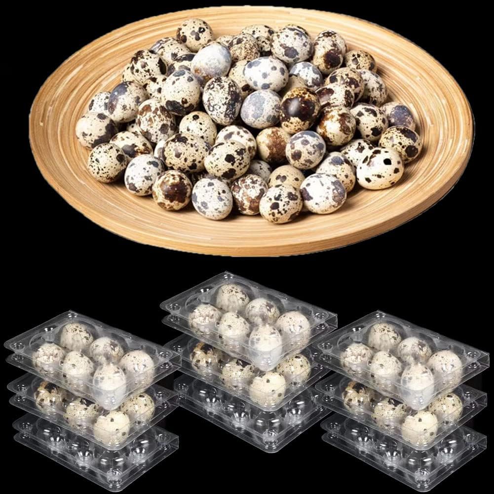 Detalle de Qikaara 50er Set Wachteleierschachteln aus Kunststoff (6 Gitter) – transparente Quail-Egg-Kartons