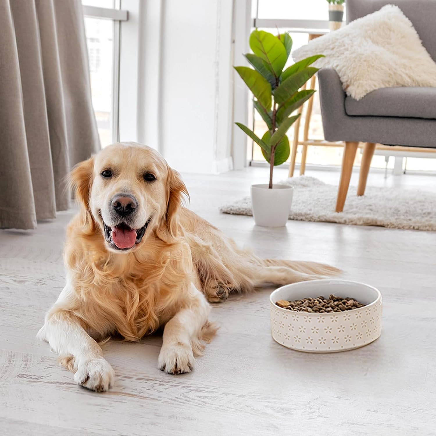 Detalle de MALACASA Hundenapf aus Steingut, 1000 ml – Futter- & Wassernapf für mittelgroße Hunde, spülmaschinen- und mikrowellengeeignet, Lydia-Serie