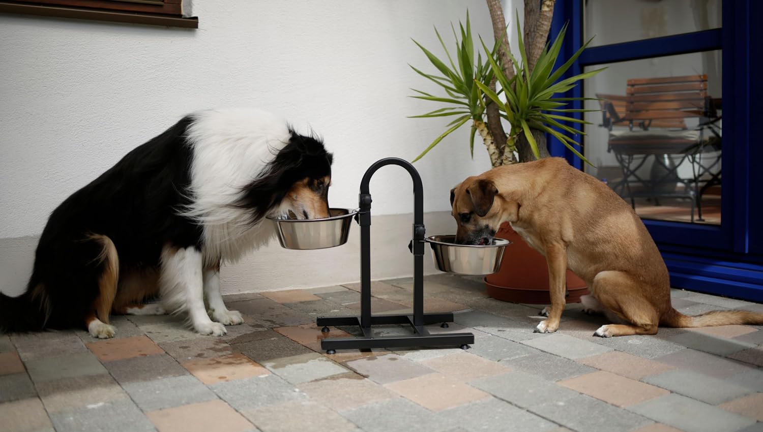 Detalle de KERBL PET Deluxe voederbar voor honden met 2 x 2800 ml en verstelbare hoogte