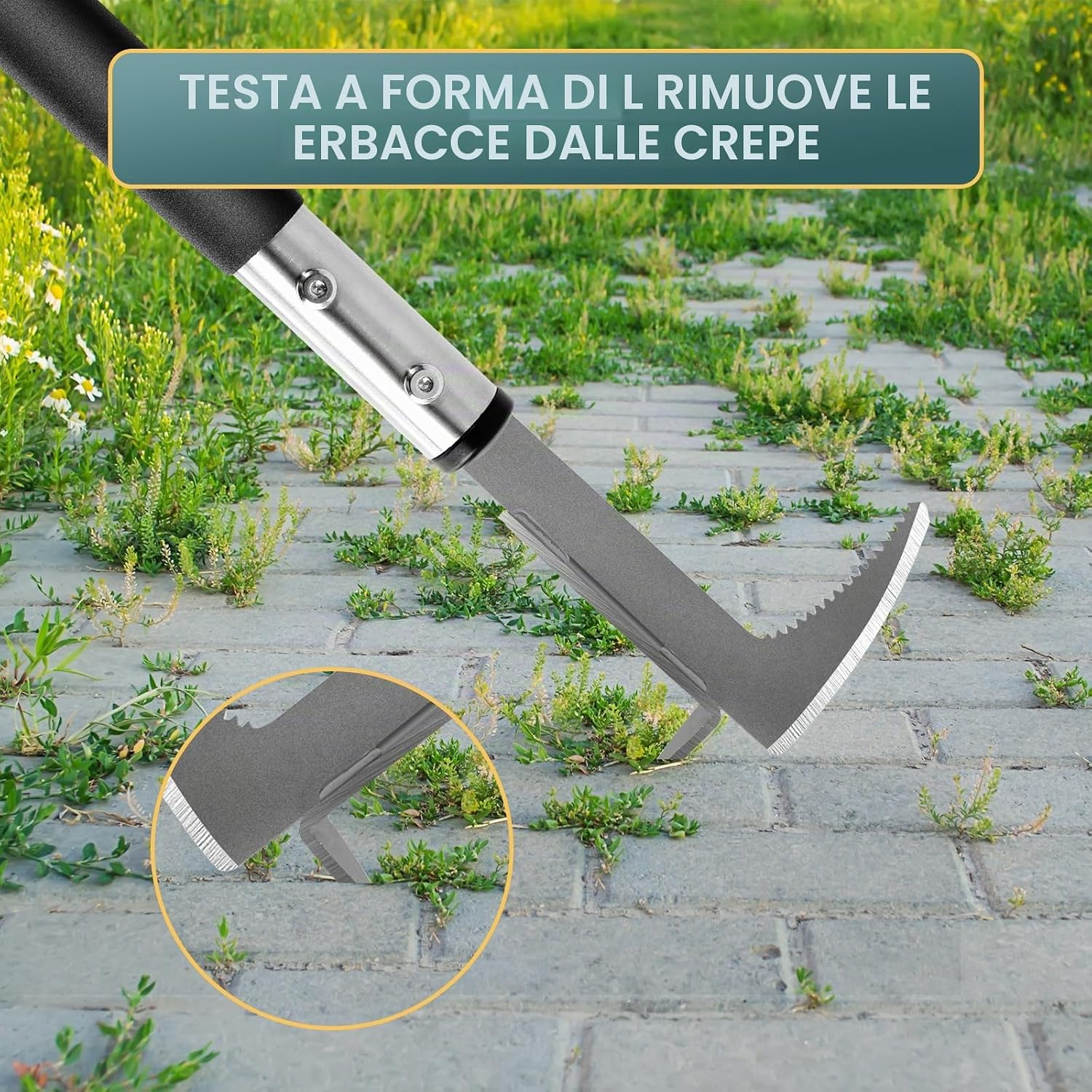 Detalle de BARAYSTUS Estirpatore Erbacce Manuale: Raschietto per Fughe con Impugnatura da 33 cm, Bordo Seghettato in Acciaio Inox