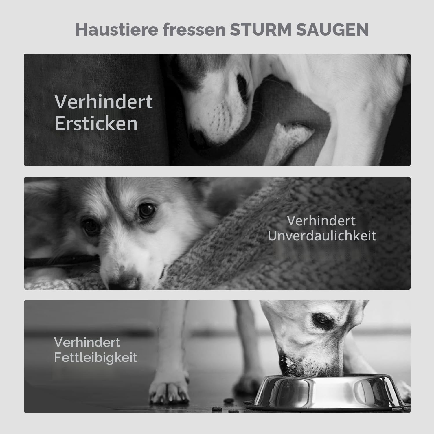 Thumbnail 6 de Lesipee Slow Feeder Hundenapf 19,1×3,8 cm 🐾