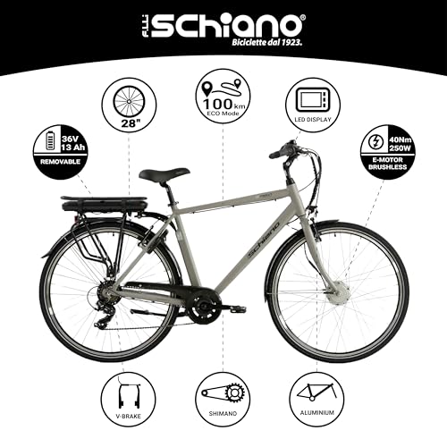 Detalle 2 de F.lli Schiano E-Moon Bici eléctrica 36V 13Ah