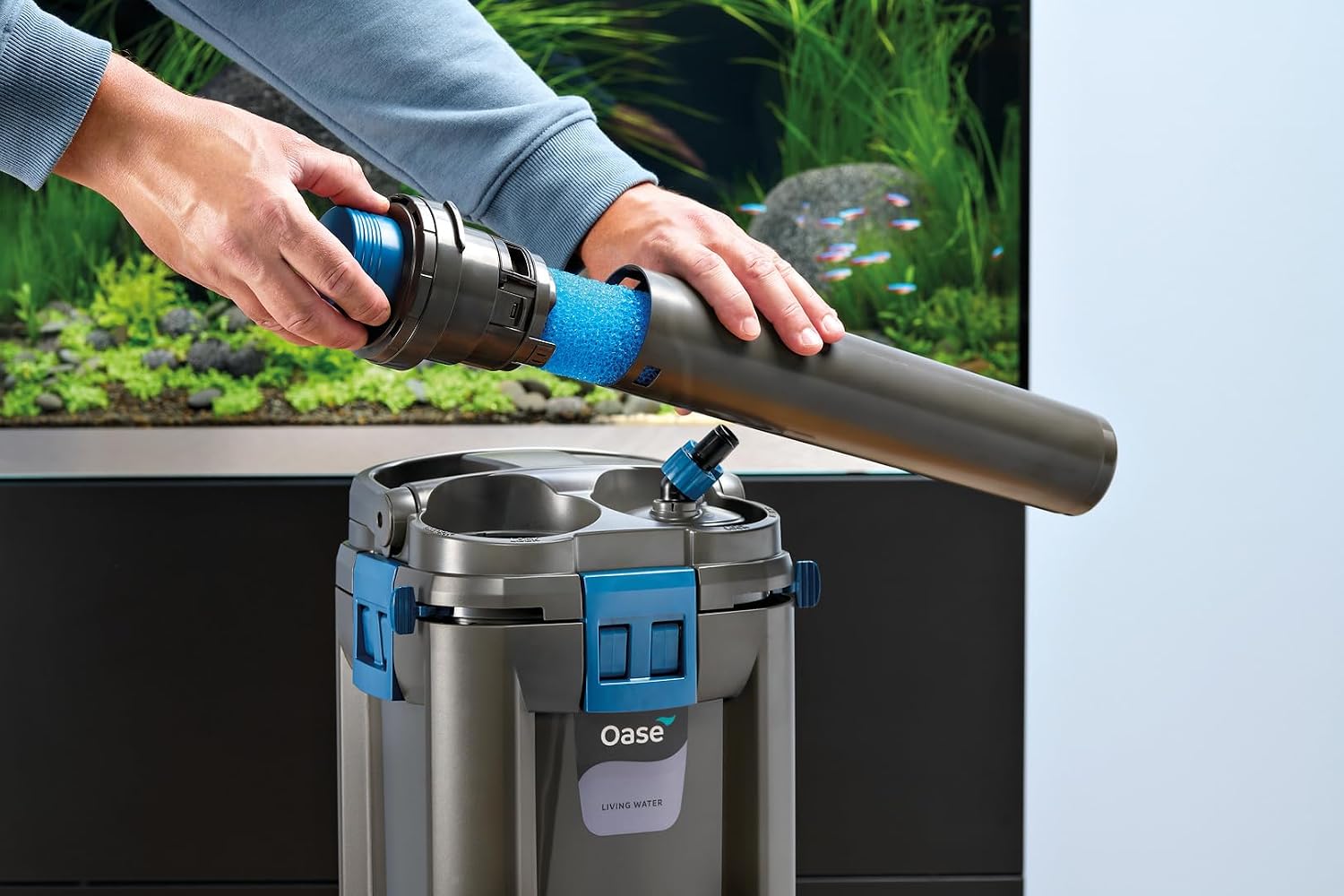 Detalle 2 de OASE BioMaster 45ppi用プレフィルターフォーム 6個セット|BioMaster 250・350・600対応