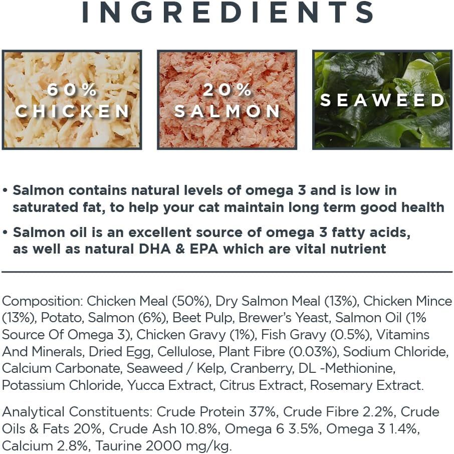 Detalle de Encore Cibo secco completo naturale senza cereali al gusto di salmone per gatti adulti — confezione da 3 sacchetti da 800 g