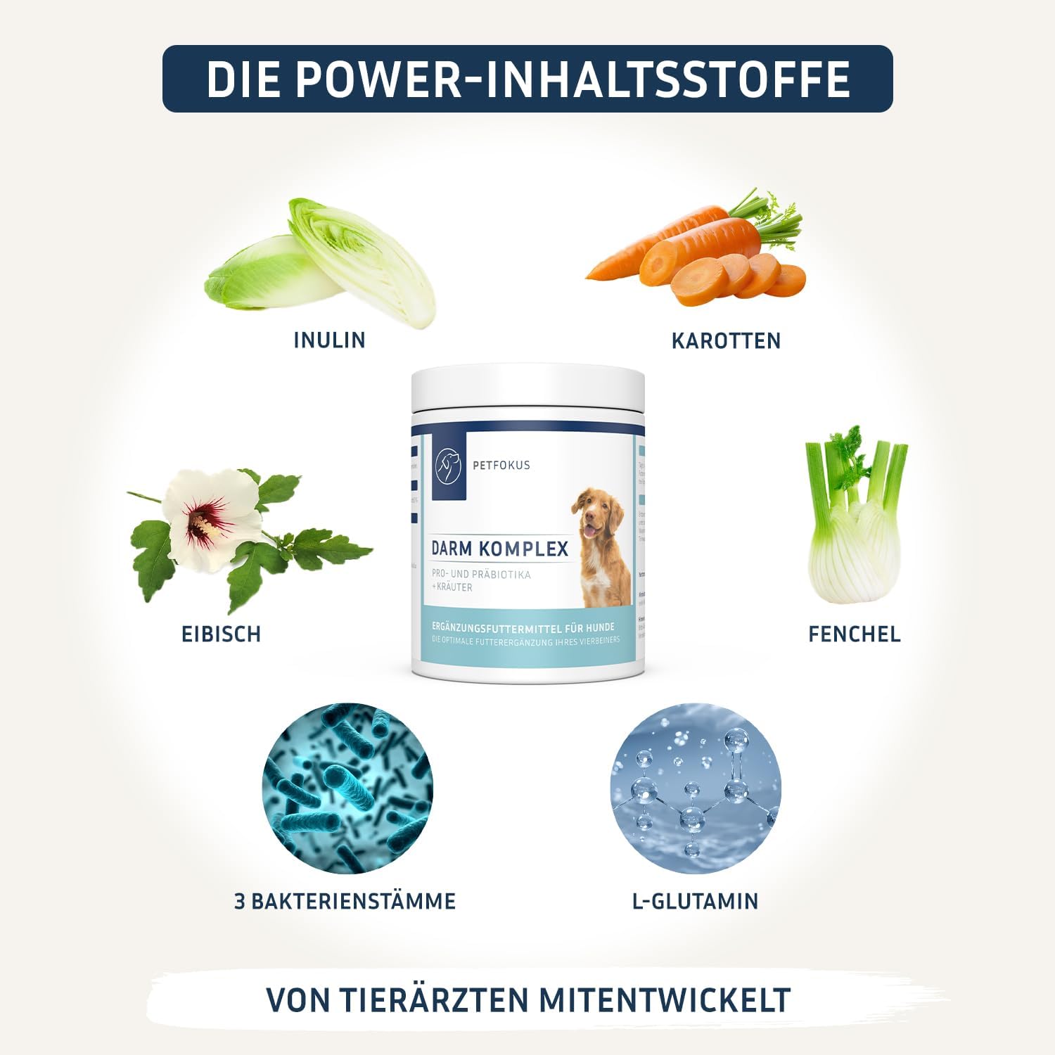 Detalle 2 de PetFokus Darm Komplex für Hunde – Unterstützung der Verdauung, Entzündungshemmung und Gelenkgesundheit