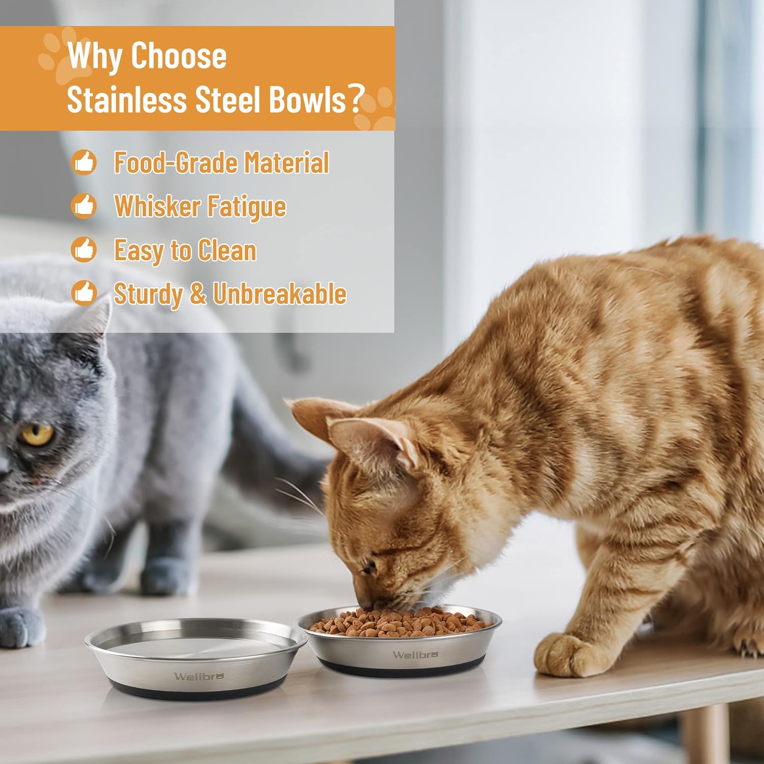 Thumbnail 4 de Wellbro 15 cm stainless steel cat bowls for food and water 🐱
