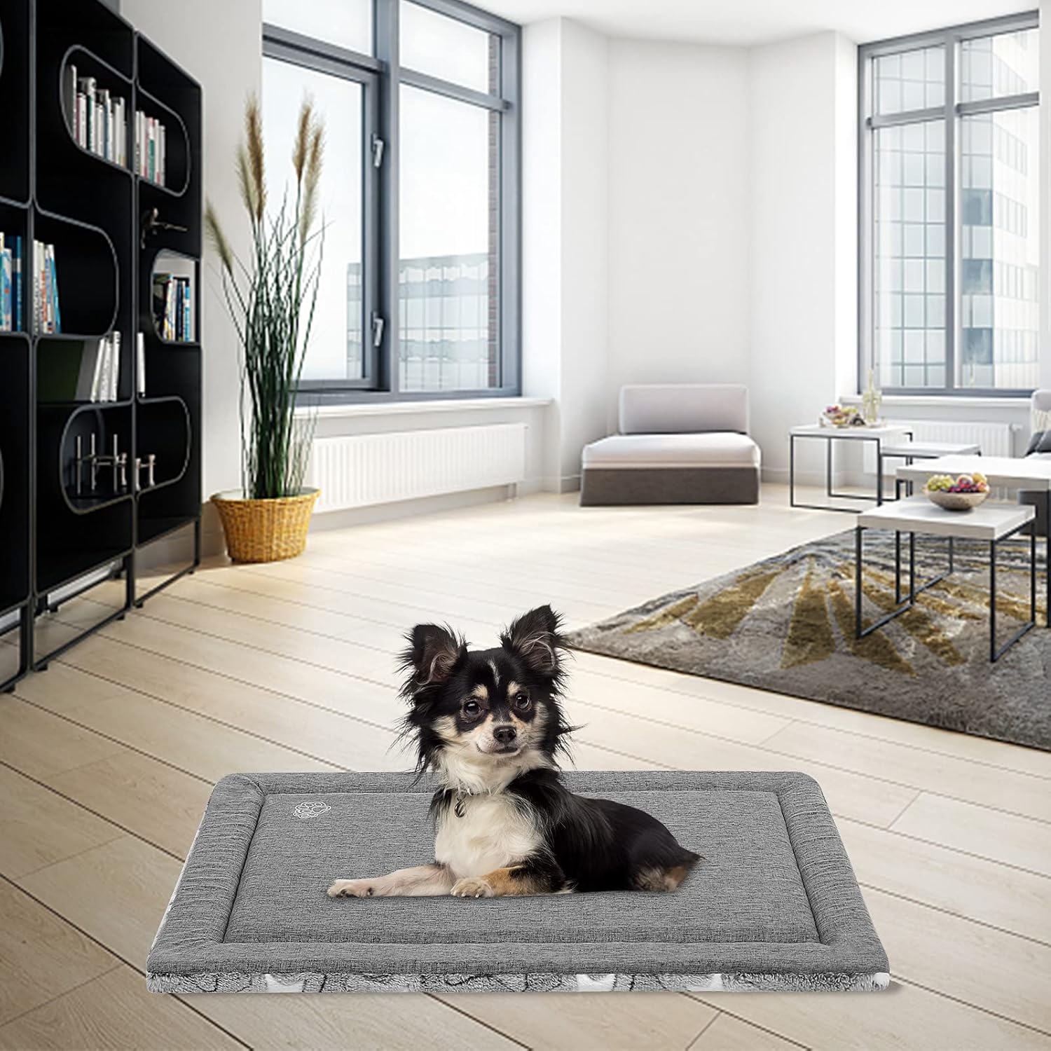 Thumbnail 4 de EMPSIGN Cuscino per Cane 61x46 cm