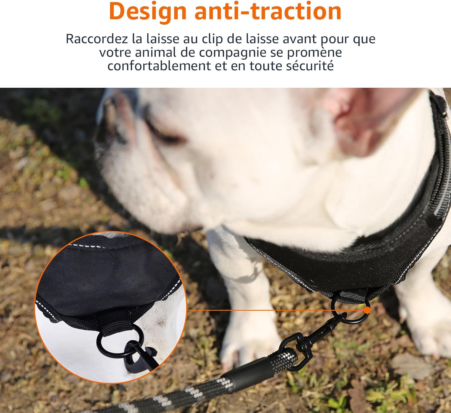 Detalle de Amazon Basics Harnais pour chien sans traction – taille M, noir