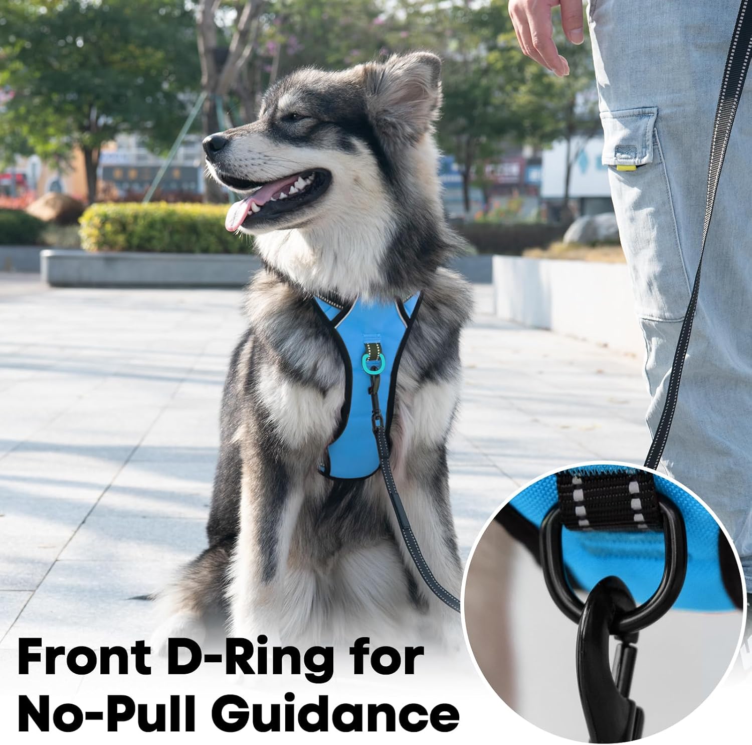 Detalle de PoyPet No Pull Dog Harness, Reflective Vest with 2 Leash Attachments and Easy Control Handle (Blue, S)