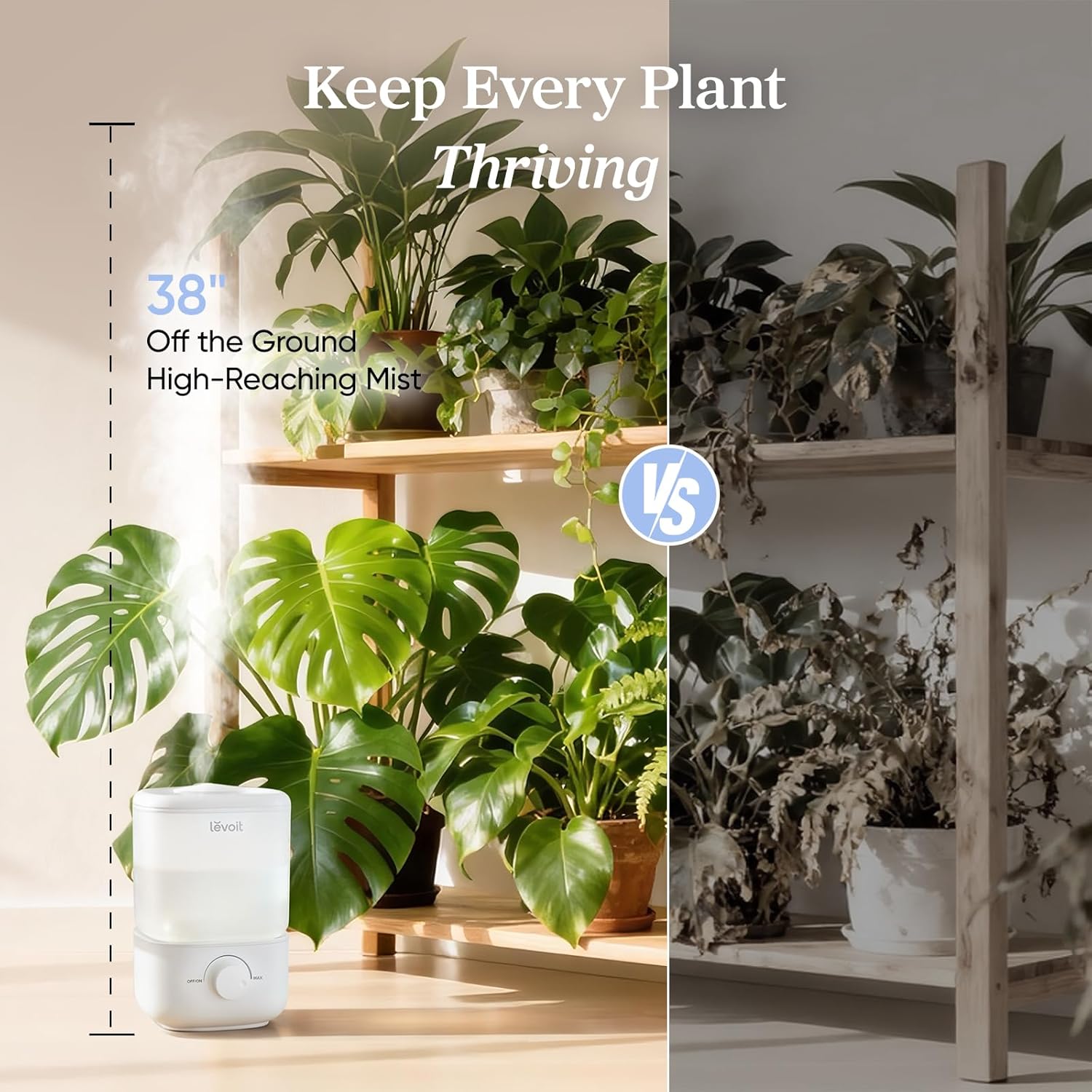 Thumbnail 3 de Levoit Humidifier 2.5L with 26dB Quiet Mist