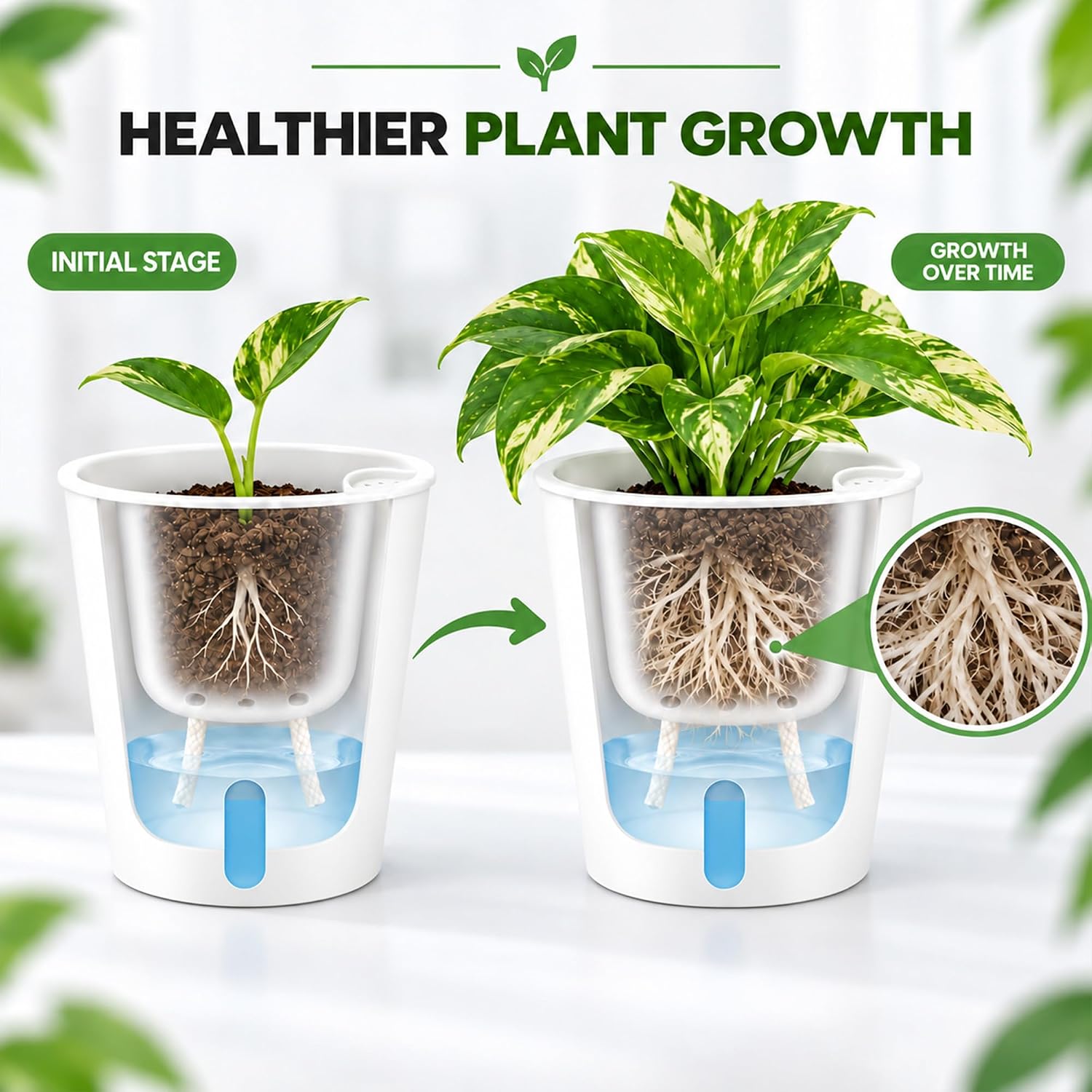 Detalle 1 de TCBWFY 10-Pack Self-Watering Plant Pots, 3-Inch White Pots with Water-Level Window