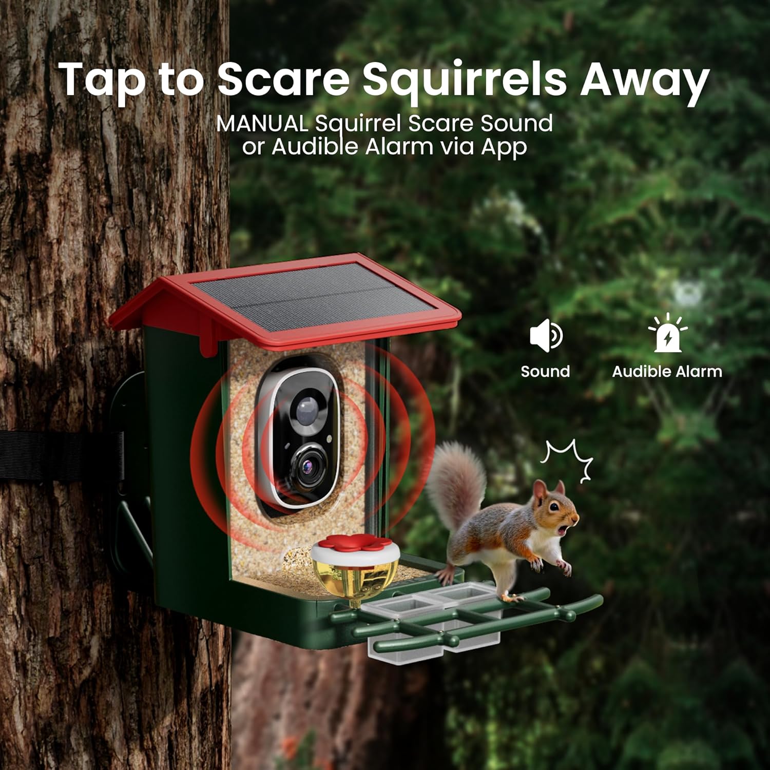 Thumbnail 6 de Smart Bird Feeder with Camera – Solar Powered, 2K HD Video, AI Bird Identification, Red