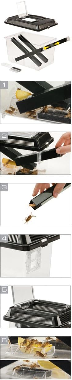 Thumbnail 2 de Exoterra Boîte à Nourriture Vivante Grand Modèle avec 2 Gamelles et 4 Tubes – 30x20x19 cm pour Reptiles et Amphibiens