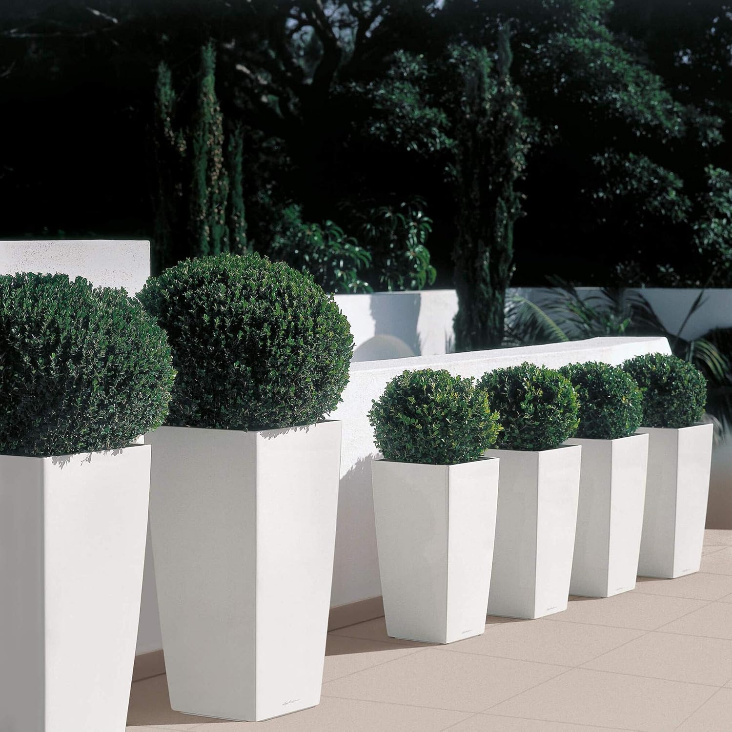 Thumbnail 5 de LECHUZA Cubico Premium 30 bianco lucido