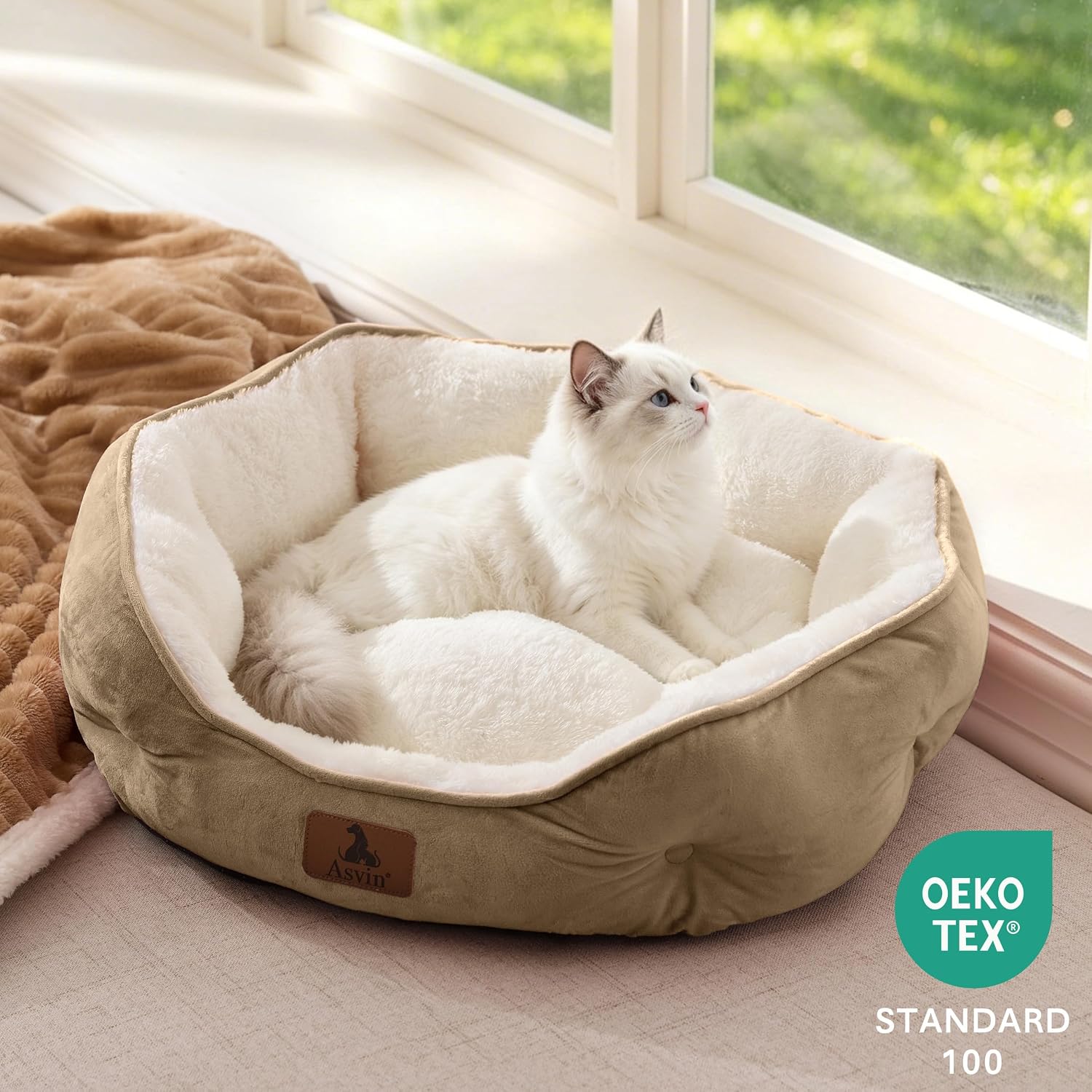 Thumbnail 3 de Asvin Small Dog Bed, 20-Inch