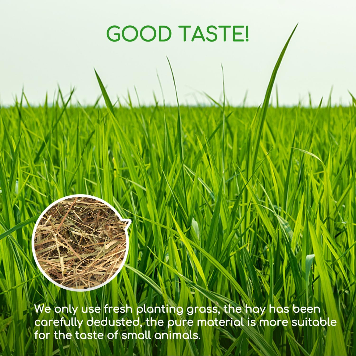 Thumbnail 5 de Nobleza Timothy Hay per conigli e roditori, 2,5 kg di fieno ricco di fibre