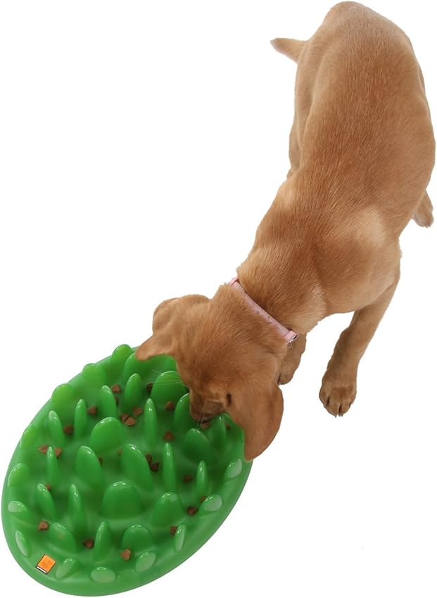 Thumbnail 6 de GREEN Comedero Interactivo L para perros