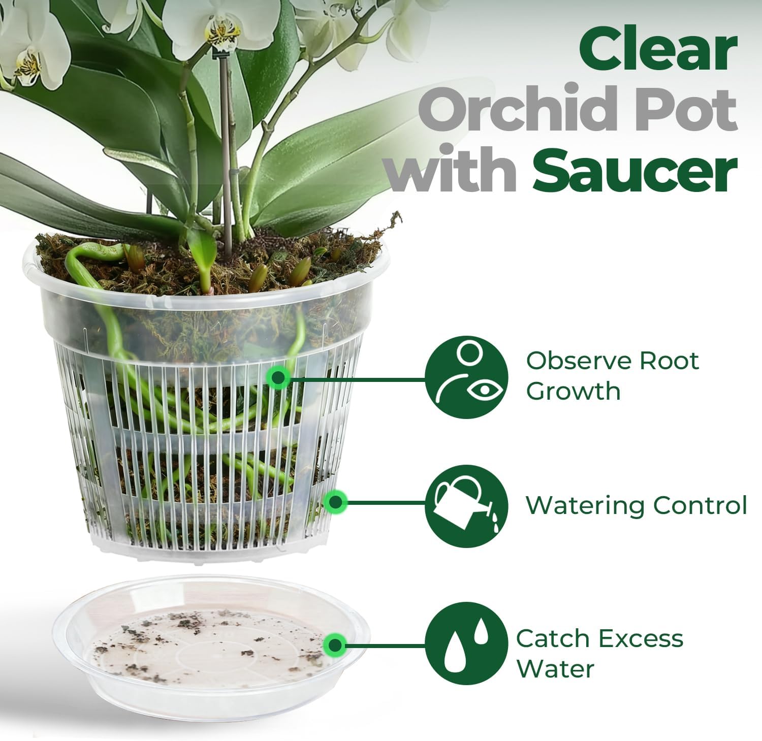 Thumbnail 5 de T4U Orchid Pot 6-Pack (16cm) with Holes and Matching Saucers for Indoor/Outdoor Repotting