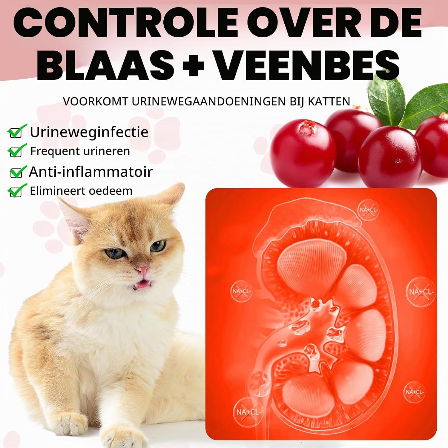 Detalle 2 de RoongDuuDll ND-CAT-02 urinesupplement voor katten in vloeibare druppels