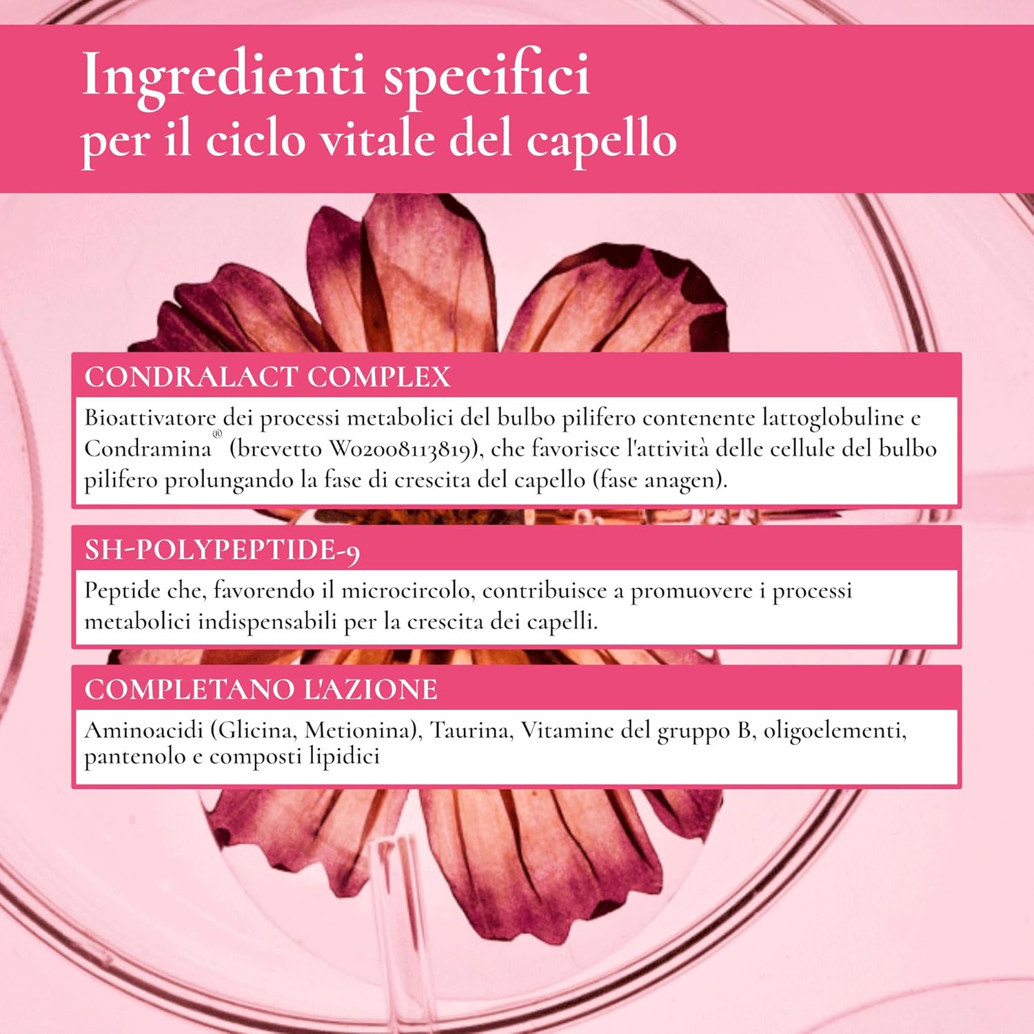 Thumbnail 4 de Biothymus Active Donna Shampoo Anticaduta 200 ml