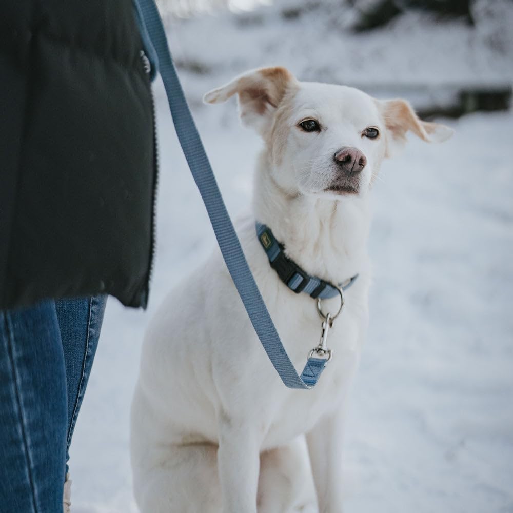 Detalle de HUNTER VARIO PLUS Hundehalsband – robustes Nylonhalsband mit Zugentlastung, Klickverschluss, Größe M‑L/2,5, schwarz