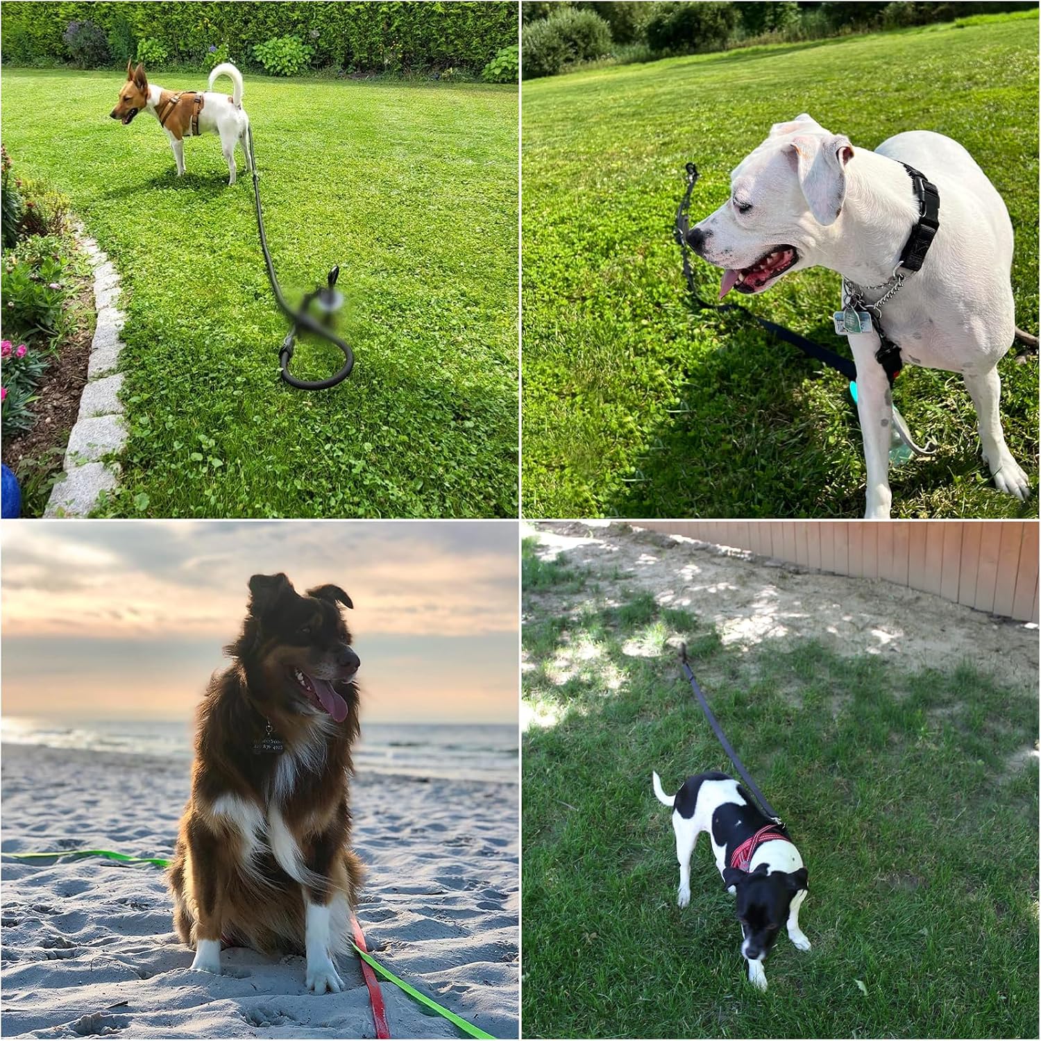 Detalle de Bodenanker für Hunde – 38 cm Anlegepflock aus Stahl mit 14 mm Adapter und 360° Drehring