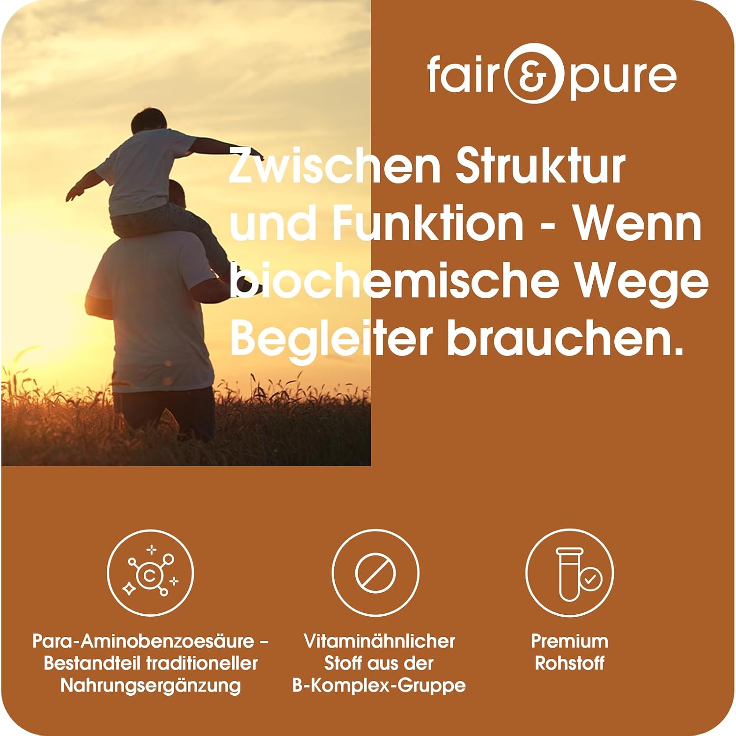 Detalle de Fair & Pure PABA 500mg – veganes PABA-Nahrungsergänzungsmittel, 120 Tabletten, hergestellt in Deutschland