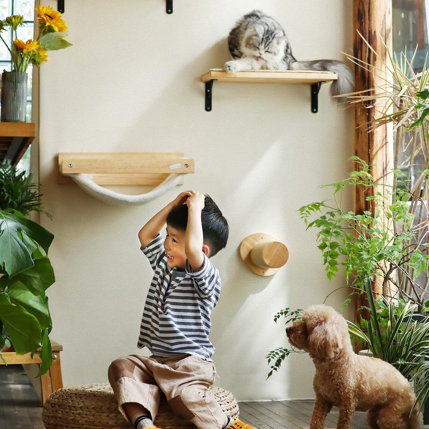 Thumbnail 6 de FUKUMARU Meuble Mural pour Chat – Marche d'escalade 30 cm, lot de 2, avec grattage en jute