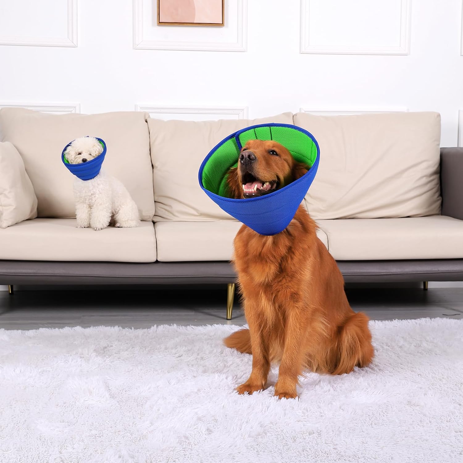 Detalle 2 de Collerette Chien souple et légère Bleu Taille 4 – protection douce pour récupération