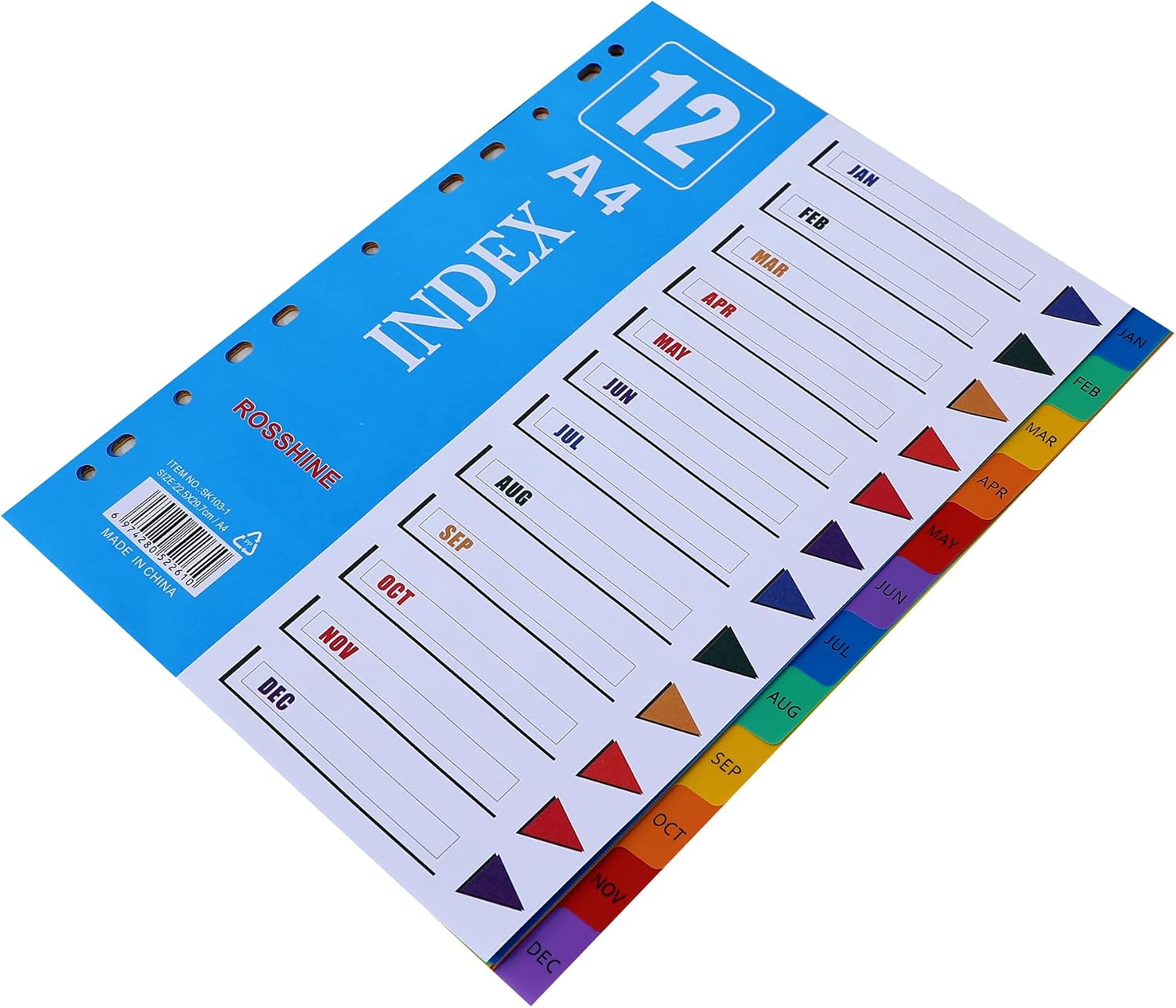 Detalle de A4 1-12 month dividers 10 pack