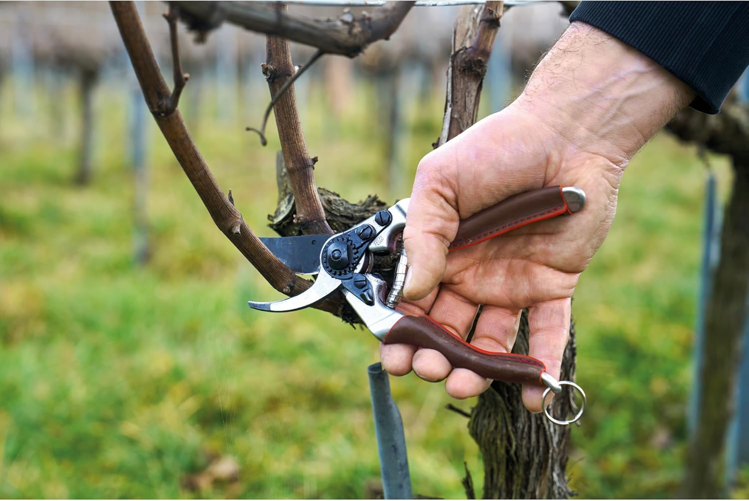 Thumbnail 5 de FELCO Elite 8: forbici da giardino ergonomiche Swiss Made per mani grandi