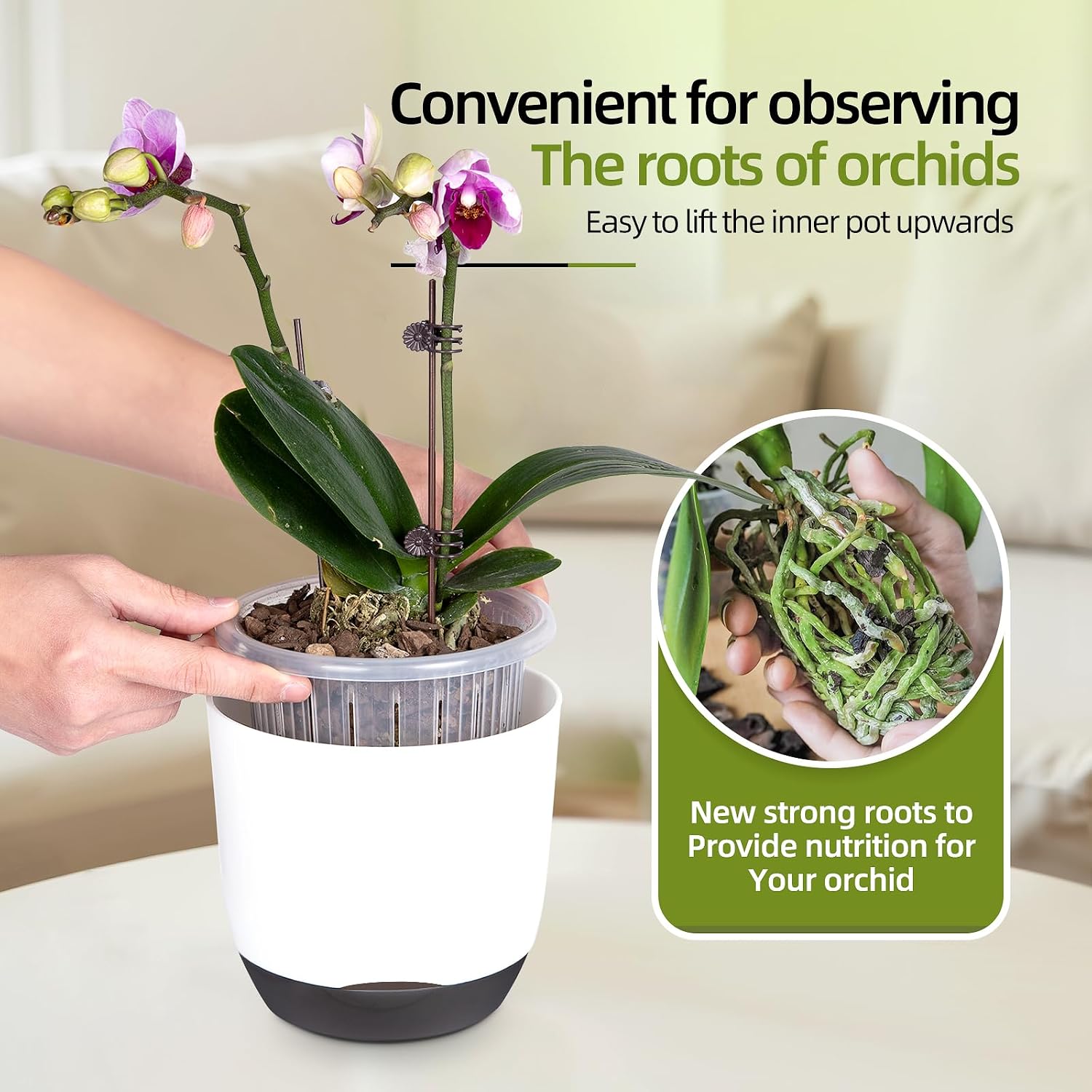 Detalle de QCQHDU 7.2in self-watering orchid pots