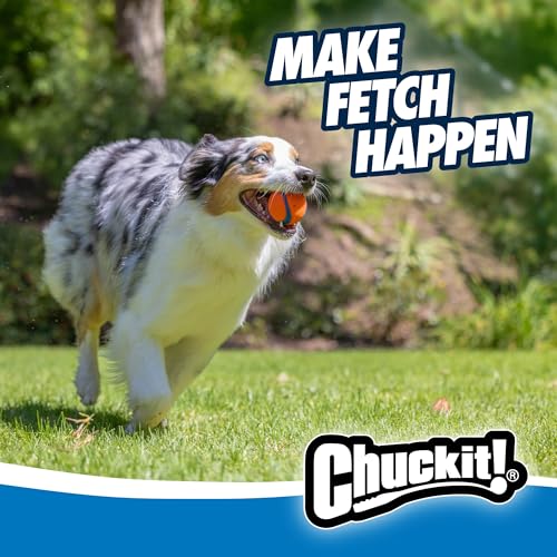 Thumbnail 2 de Chuckit Ultra Ball Medium 2 pelotas para perros