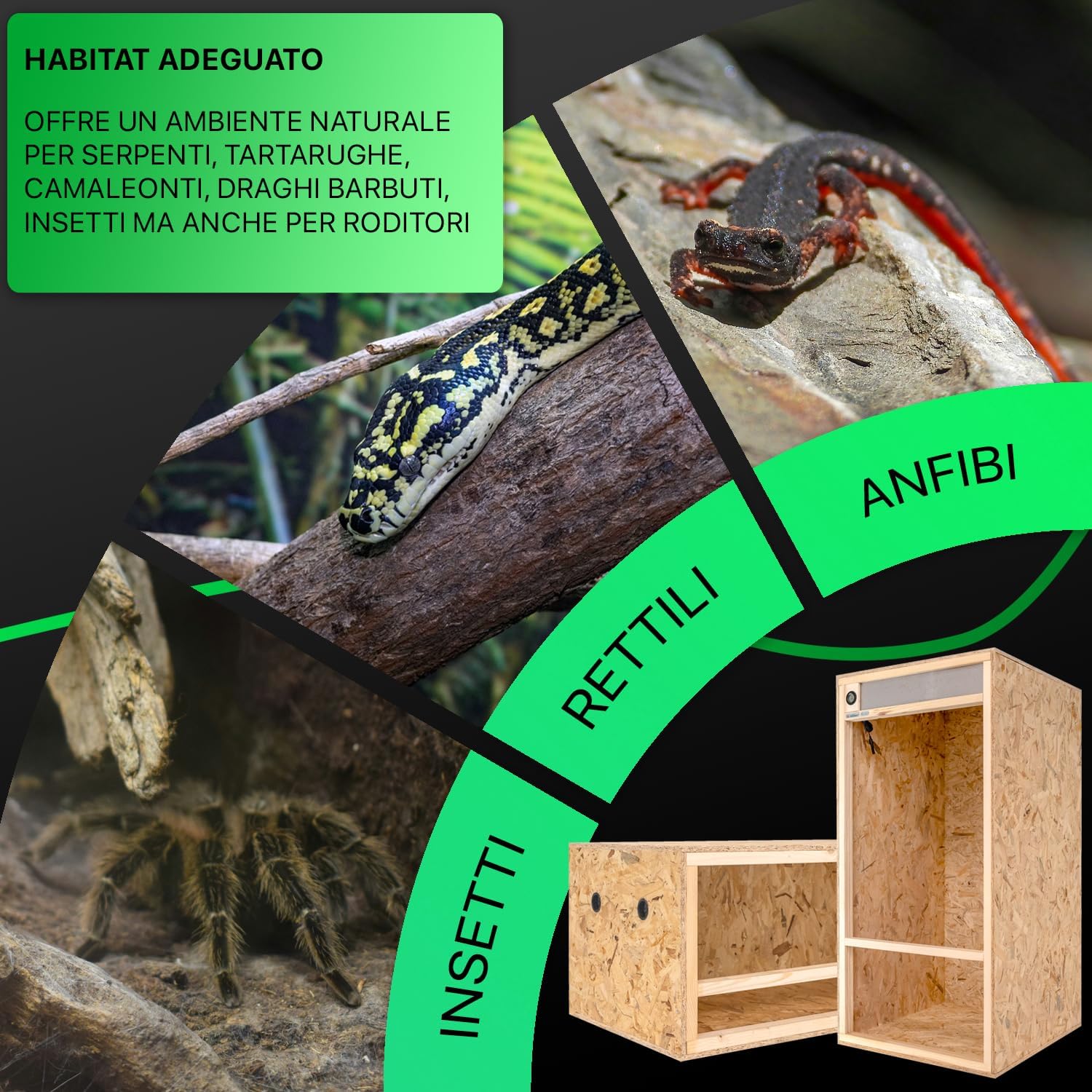 Thumbnail 5 de ITA Terrario in legno 80x40x40 cm