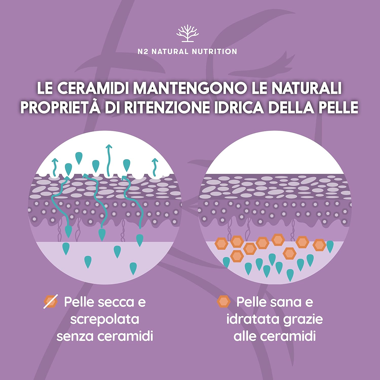Detalle 2 de N2 Natural Nutrition Collagene marino 90 capsule