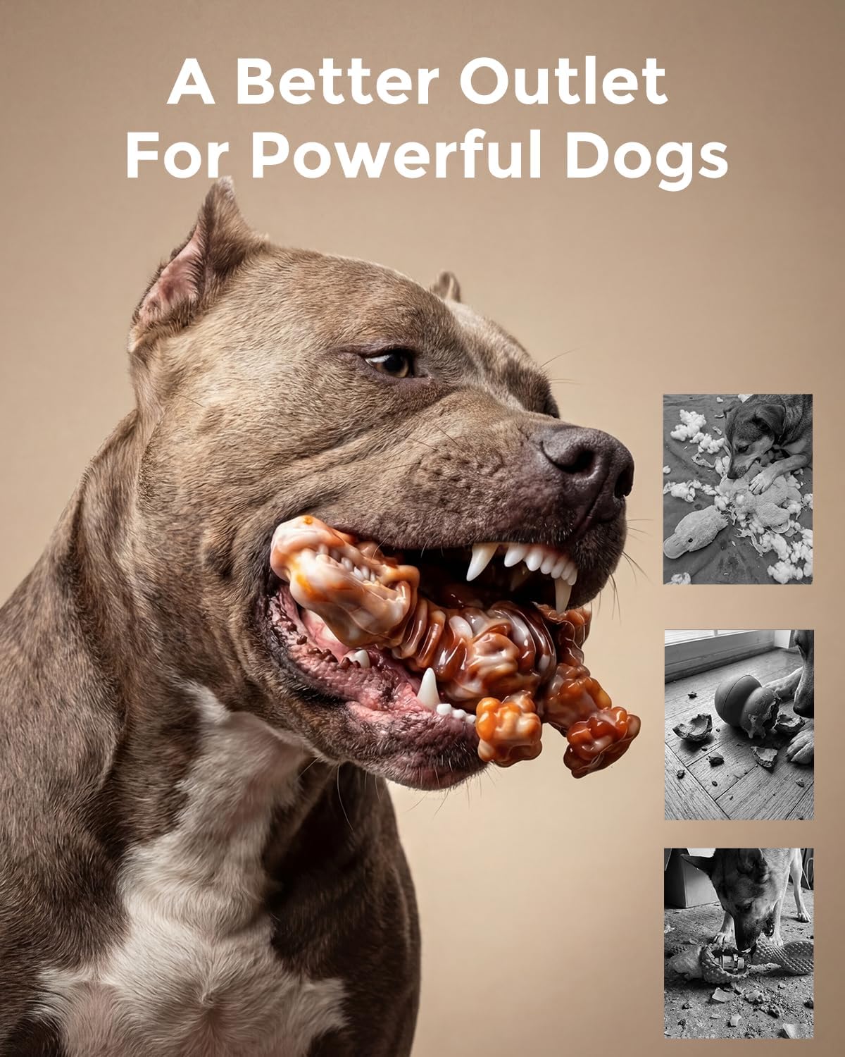 Thumbnail 2 de DinoBone Nylon Dog Chew Toys, 2-Pack