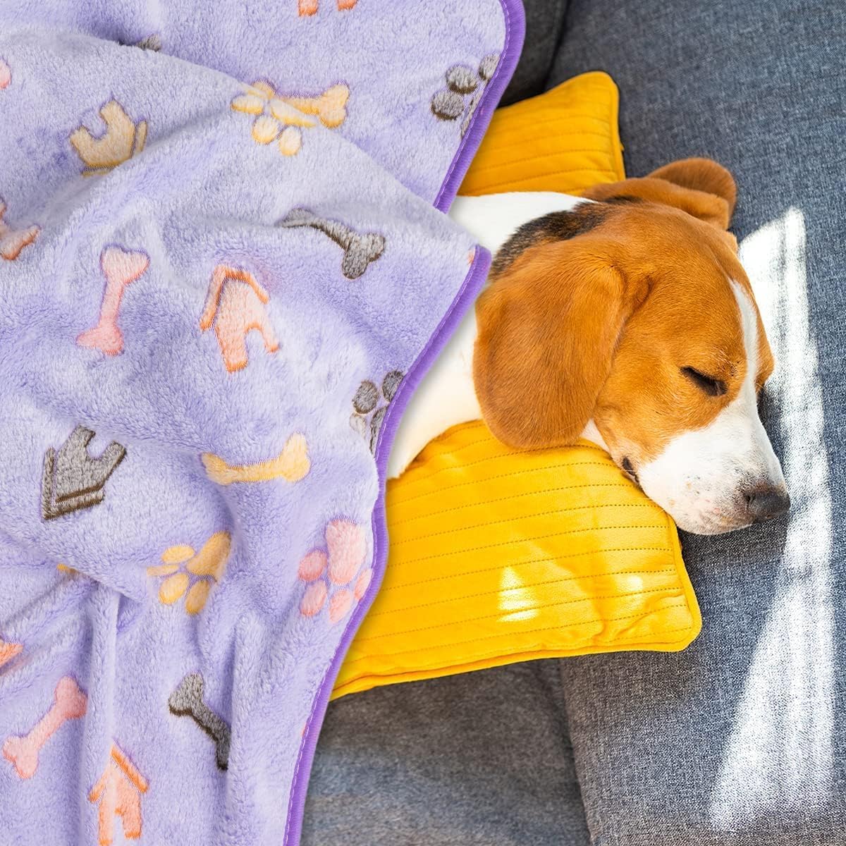 Thumbnail 5 de 3-piece pet blanket set, 60 x 40 cm