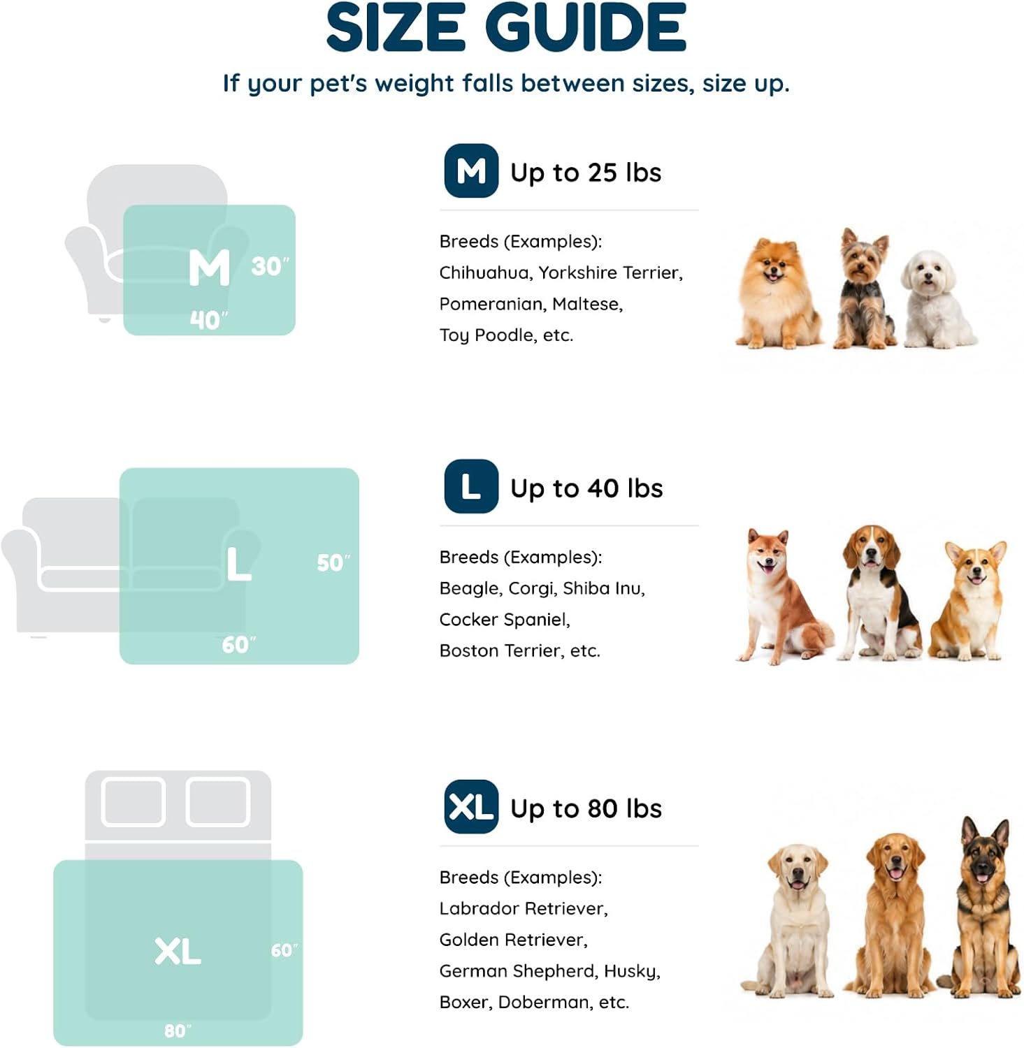 Thumbnail 4 de ChiXnuggle Dog Blanket, XL