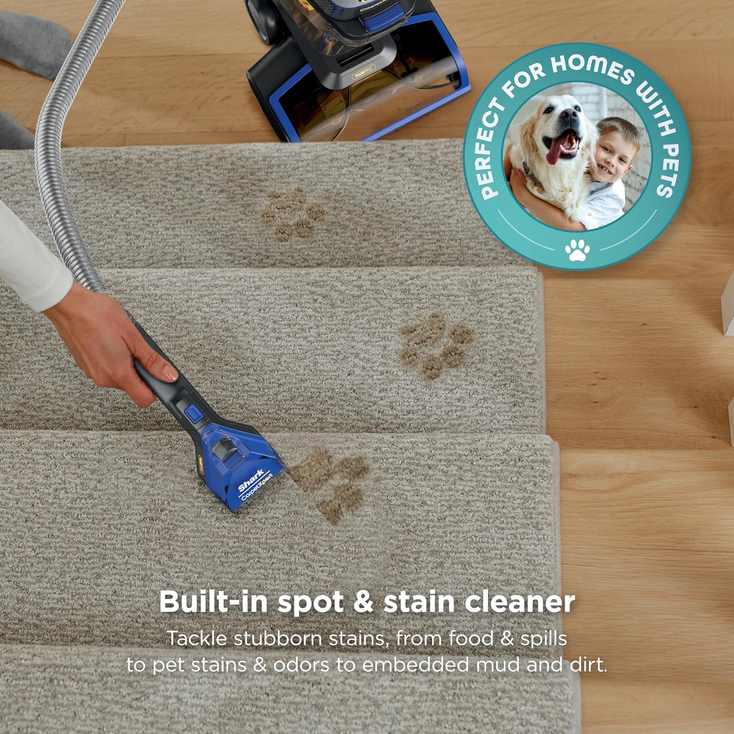 Detalle 2 de Shark CarpetXpert HairPro Upright Cleaner with 2 Tools ⚙
