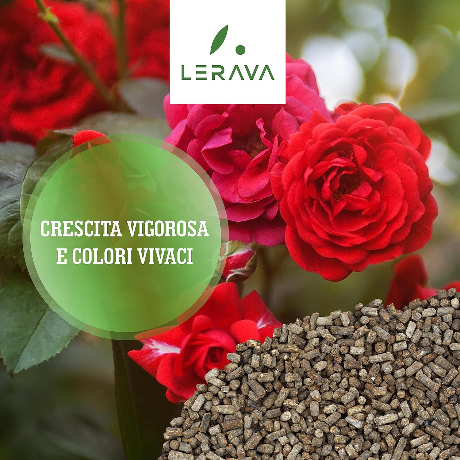Thumbnail 2 de LERAVA Concime Rose organico (2x800g): fertilizzante 100% biologico per rose in vaso e a terra
