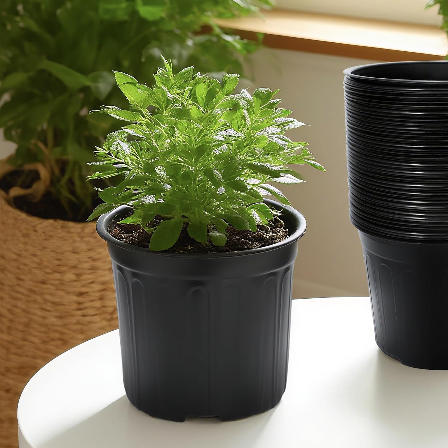 Detalle 2 de SLMKHHU 3-Gallon Nursery Pots, 40-Pack, 10.4-Inch with Drainage Holes