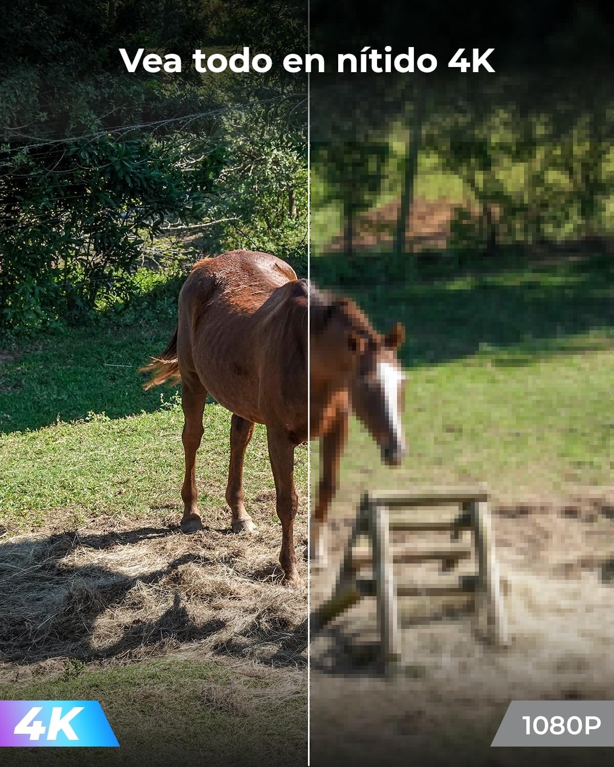 Thumbnail 4 de Reolink Go PT Ultra 4K Cámara Exterior Inalámbrica con Batería 🌙