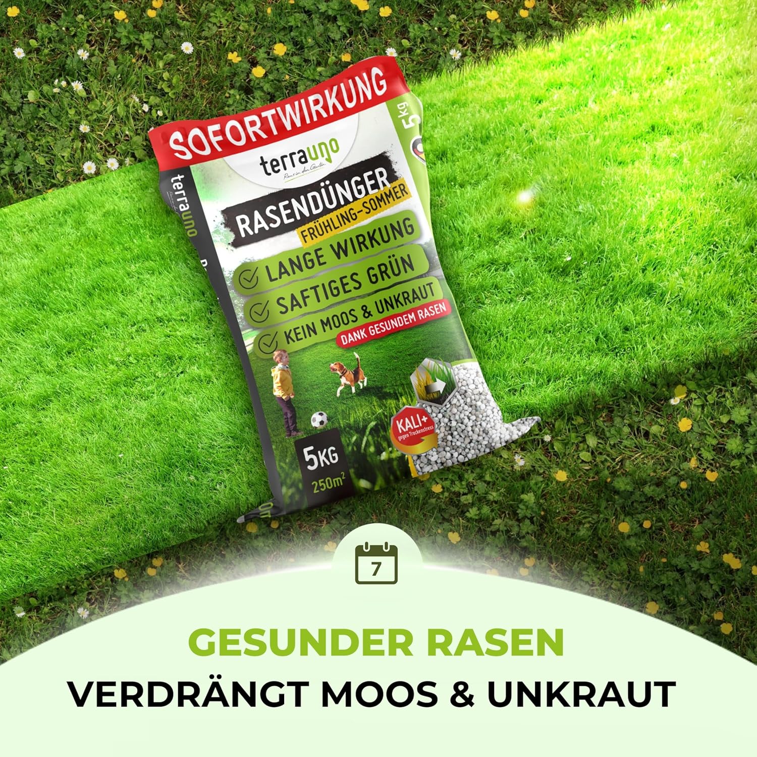 Detalle de TerraUno Rasendünger Frühjahr/Sommer – Sofortwirkung, 5 kg für 250 m²