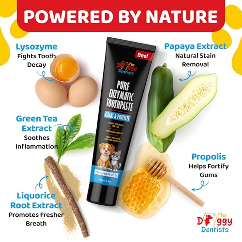 Detalle de The Doggy Dentists Vet Strength Pure Enzymatic Dog & Cat Toothpaste, 100g