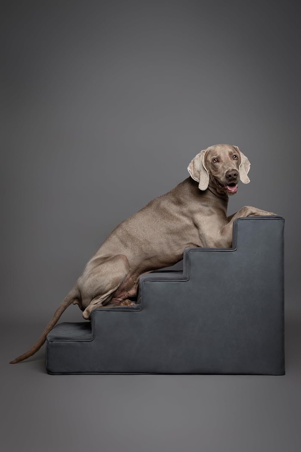 Thumbnail 5 de Noah & Paw Dog Stairs Leather Collection: 5-step Bed Ramp (20" Extra Wide) for All Breeds