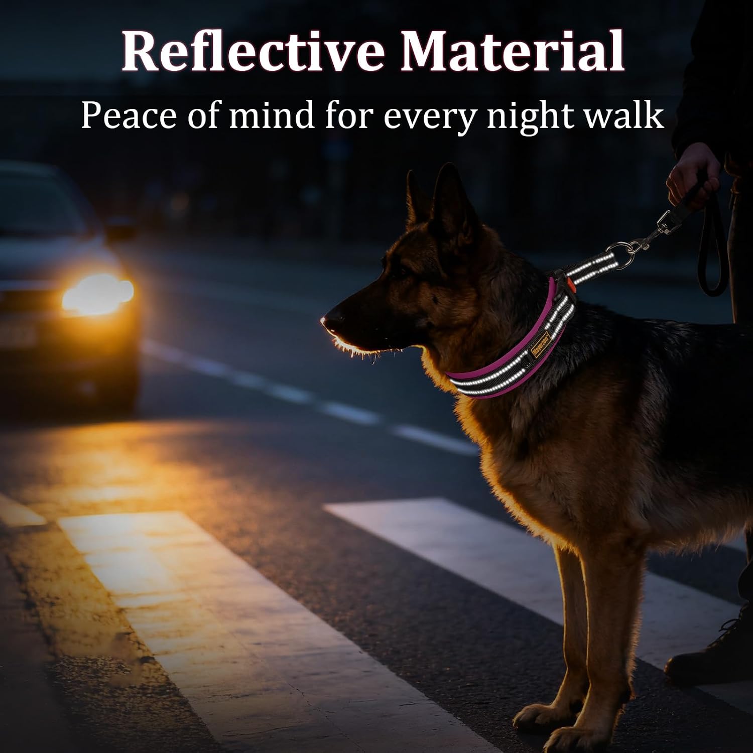 Thumbnail 5 de Mayerzon 3.8cm Wide Martingale Collar for Dogs (XL) – Reflective, No Pull, Soft Padded